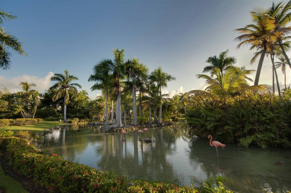 The Level At Melia Caribe Beach (Adults Only) Punta Cana Zewnętrze zdjęcie