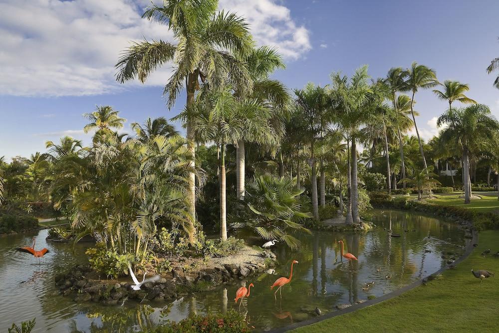 The Level At Melia Caribe Beach (Adults Only) Punta Cana Zewnętrze zdjęcie